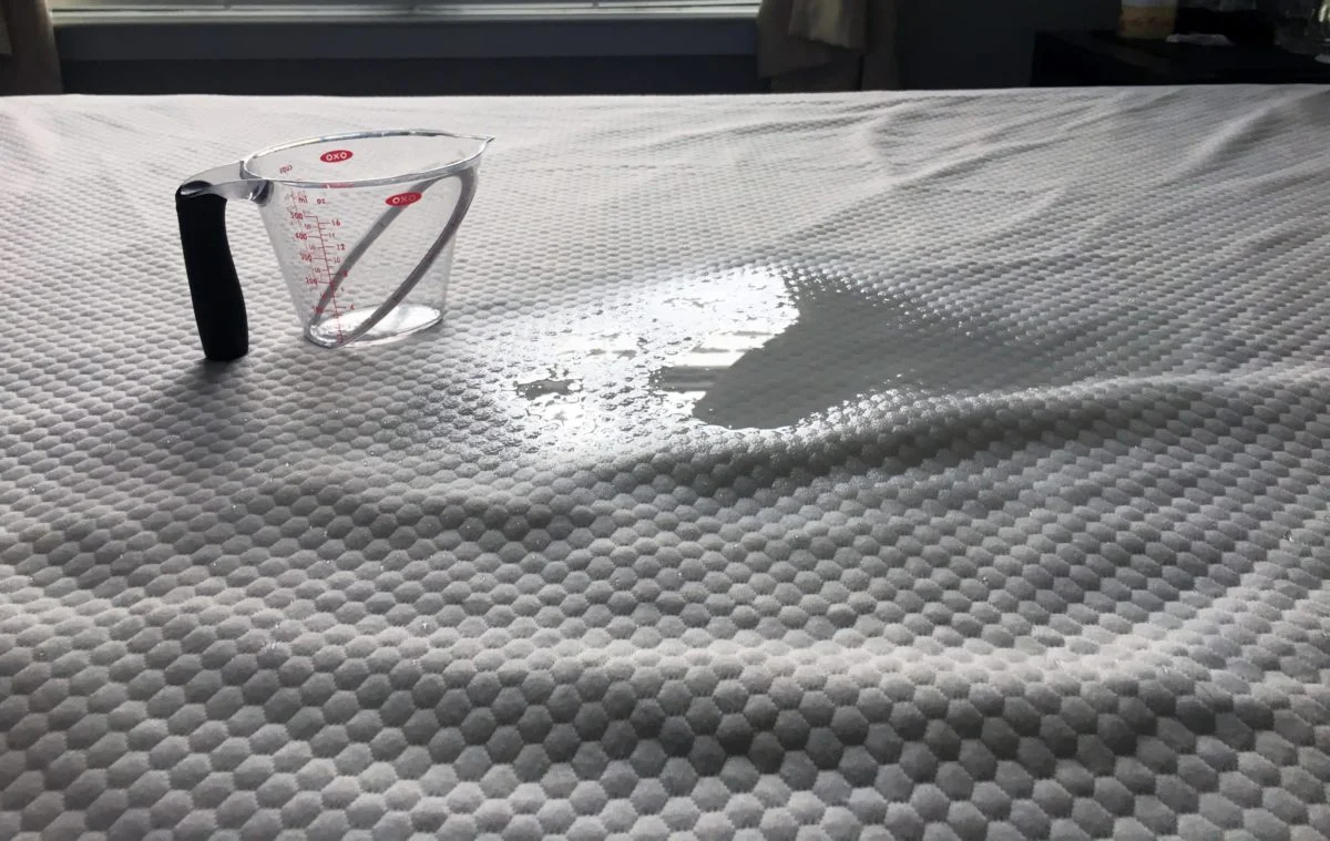 Bear Mattress Protector