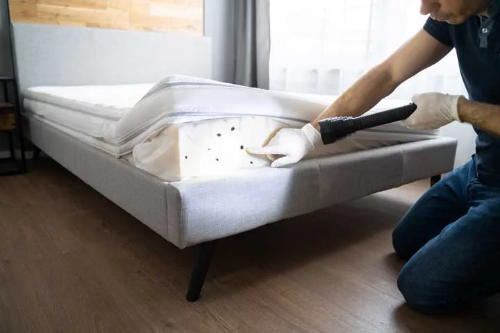 A pest control professional inspects a mattress for bed bugs. -How to Identify Early Signs of Bed Bugs A pest control professional inspects a mattress for bed bugs