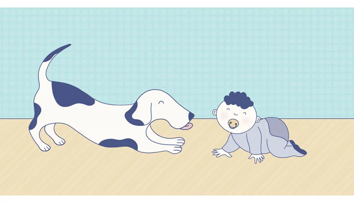 a baby crawls next to a dog a baby crawls next to a dog