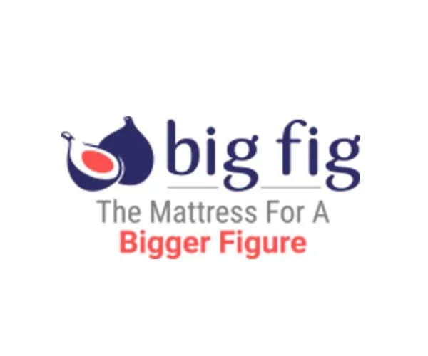Bigfig logo coupon