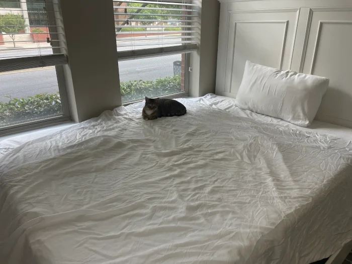 Sijo AiryWeight Tencel Sheet Set