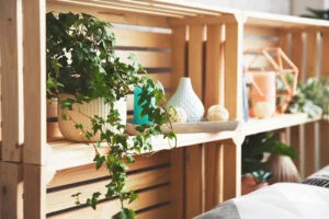 an ivy plant sits on a wooden shelf an ivy plant sits on a wooden shelf