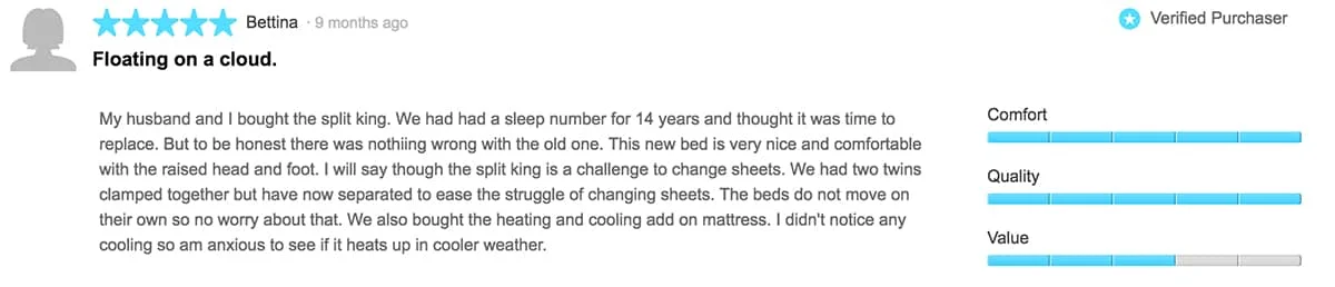 SleepNumberI10reviewSheets