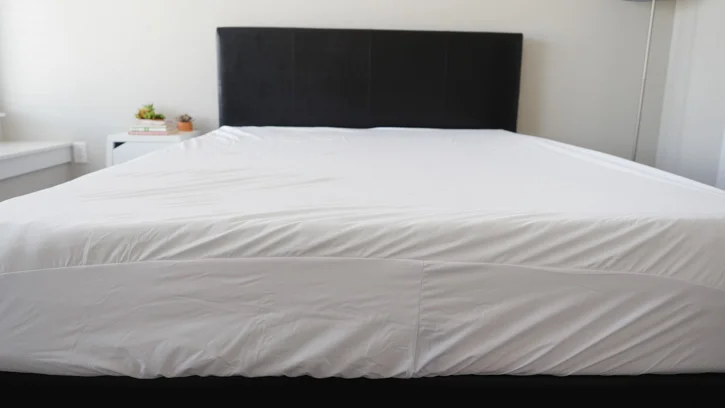 purple mat protector bed