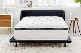 WinkBed Mattress