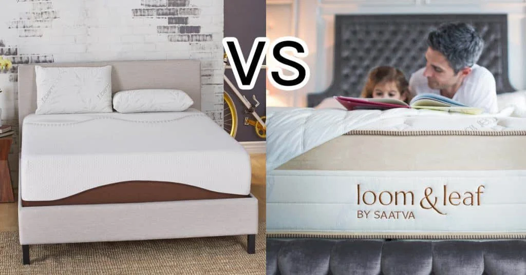 Amerisleep vs Loom & Leaf