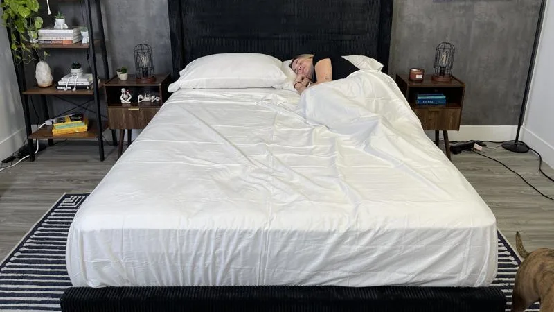 Plushbeds Bamboo Sheet Set