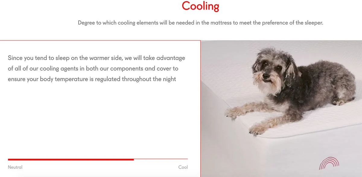 TuckMattressReviewComponentExample