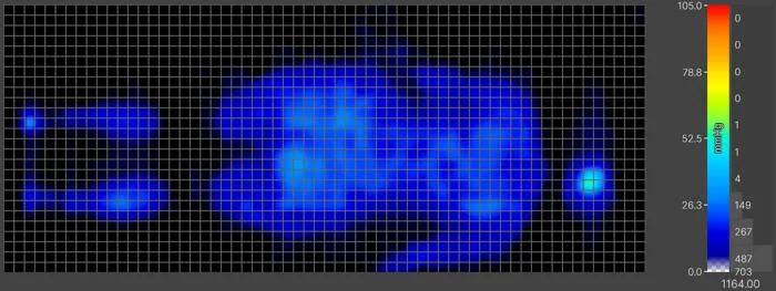 Pressure map of an average-weight back-sleeper on the Birch Natural Mattress