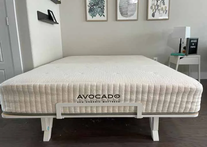Avocado Eco Organic