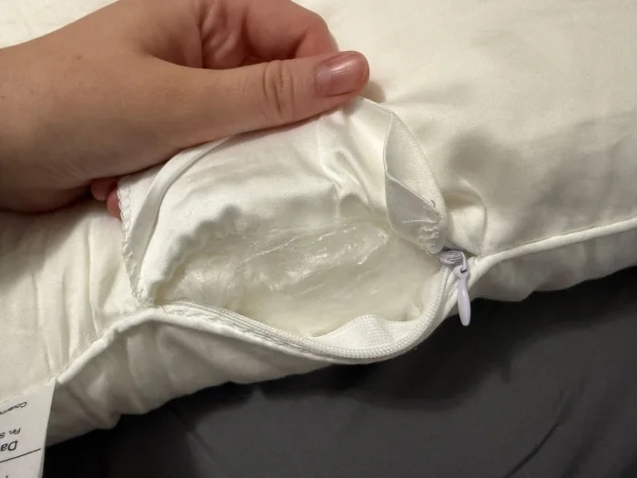 Cozy Earth Silk Pillow