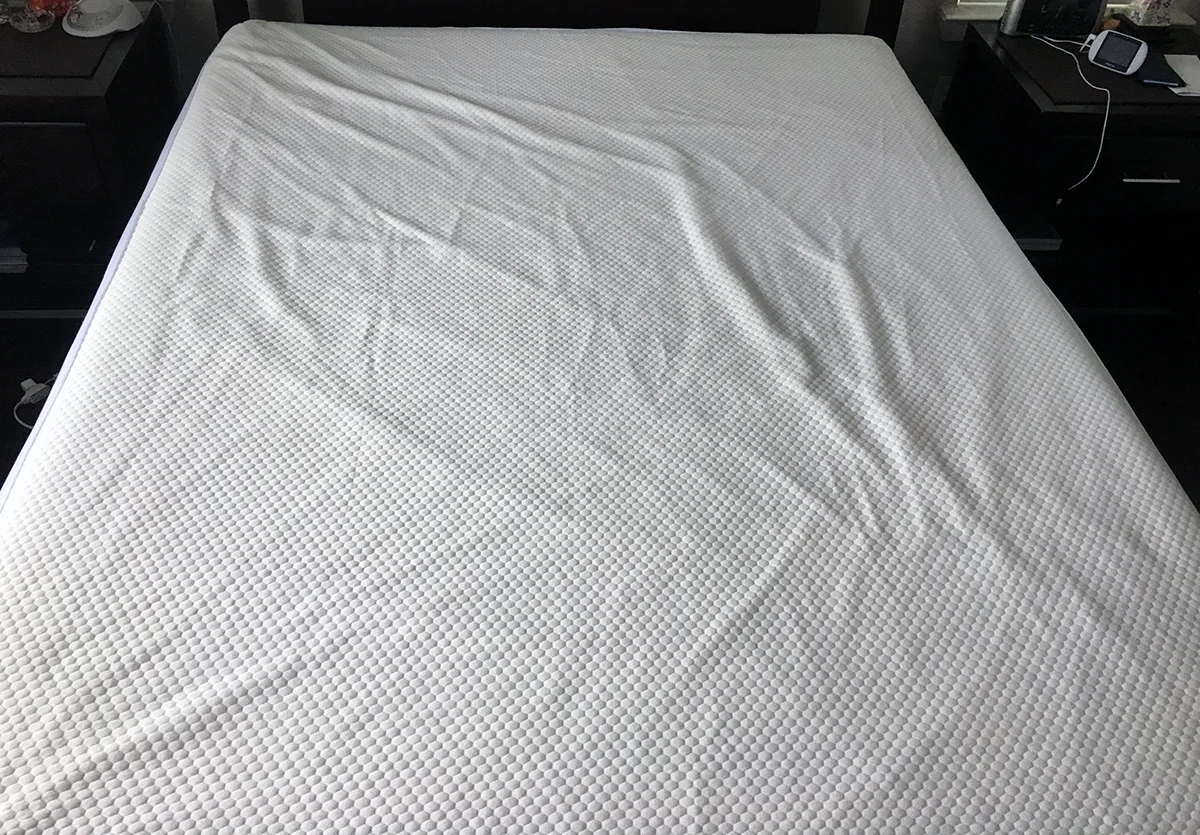 Bear Mattress Protector