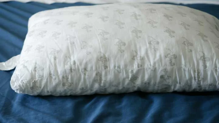 Sleepgram Pillow Review - MyPillow vs. Sleepgram Sleepgram Pillow Review - MyPillow vs. Sleepgram