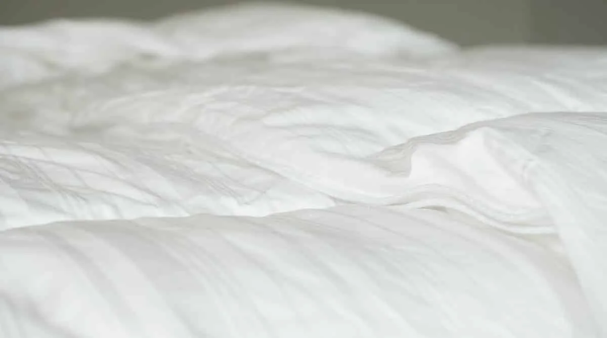 Pinzon down alternative comforter review feel 1