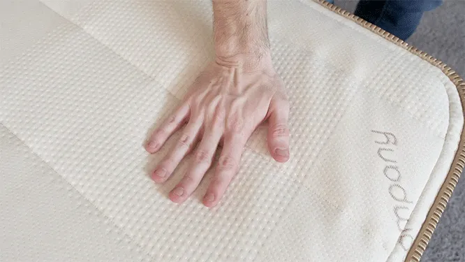 MC ZenhavenGif 190107