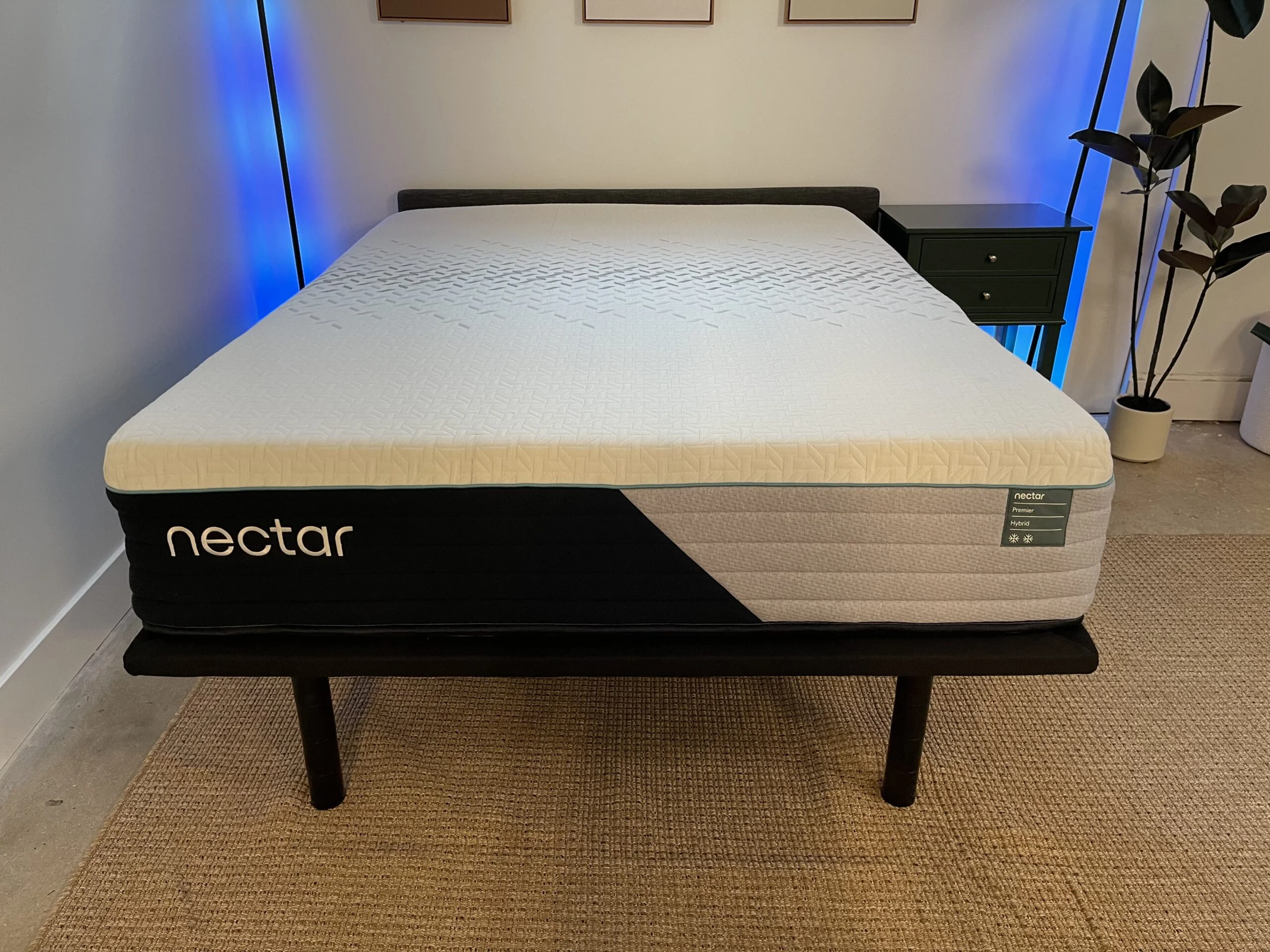 IMG 2374 1 min scaled