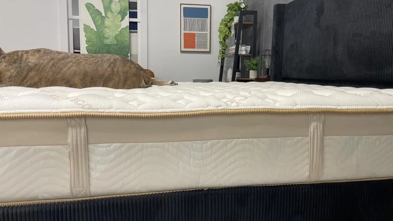 Side view of the Saatva Loom & Leaf Mattress