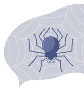 A Four-Eyed Spider In A Web