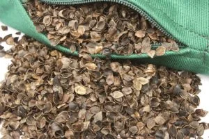 14 Types Of Pillows You Should Know About