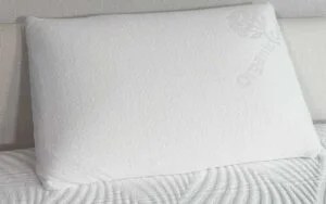 An image of the Brooklyn Bedding Talalay Latex pillow propped up against a headboard. An image of the Brooklyn Bedding Talalay Latex pillow propped up against a headboard.