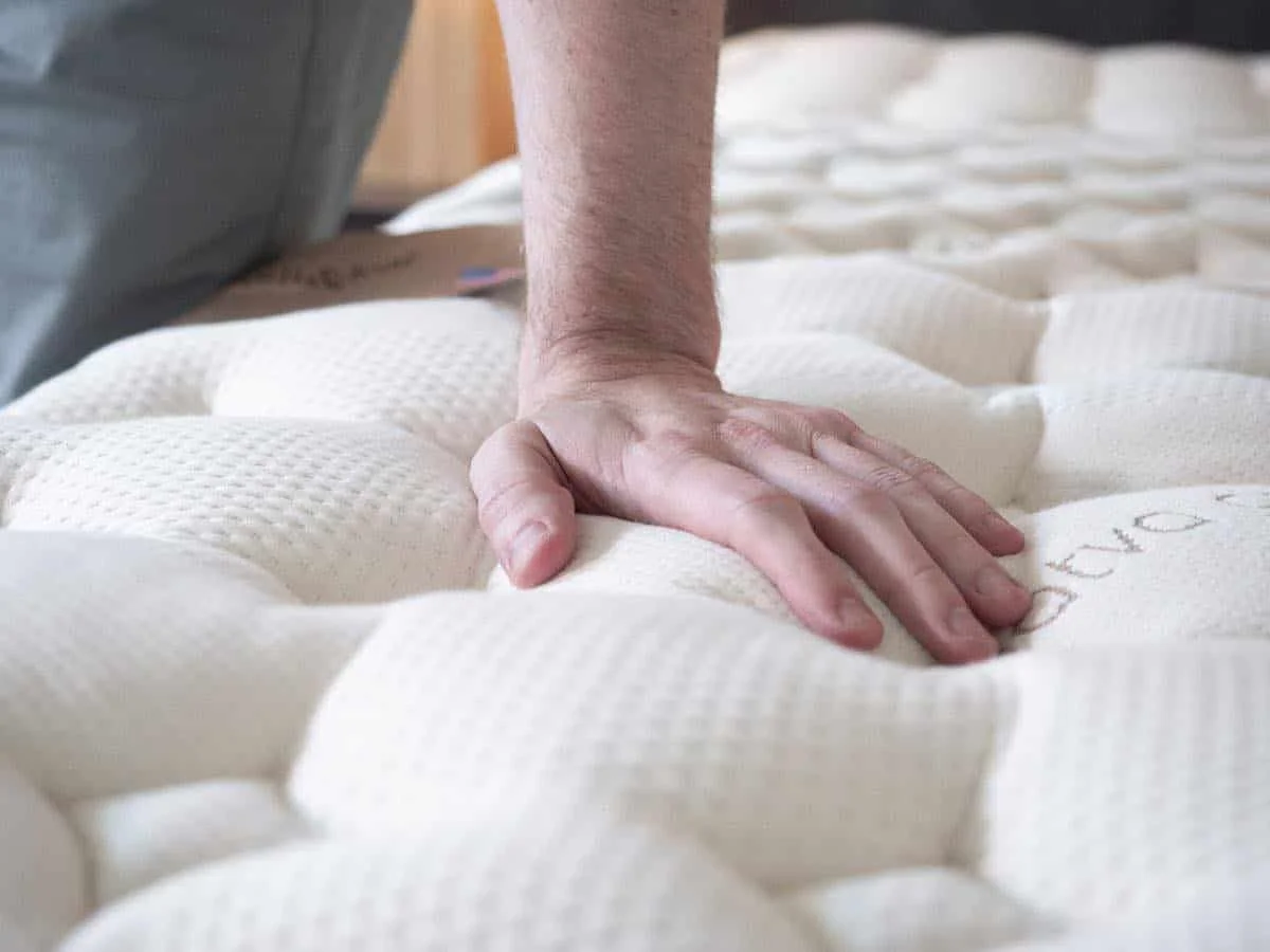 close up of loom and leaf
