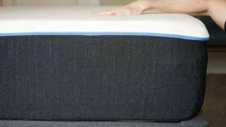 Bear Pro - Construction Bear Pro - Construction