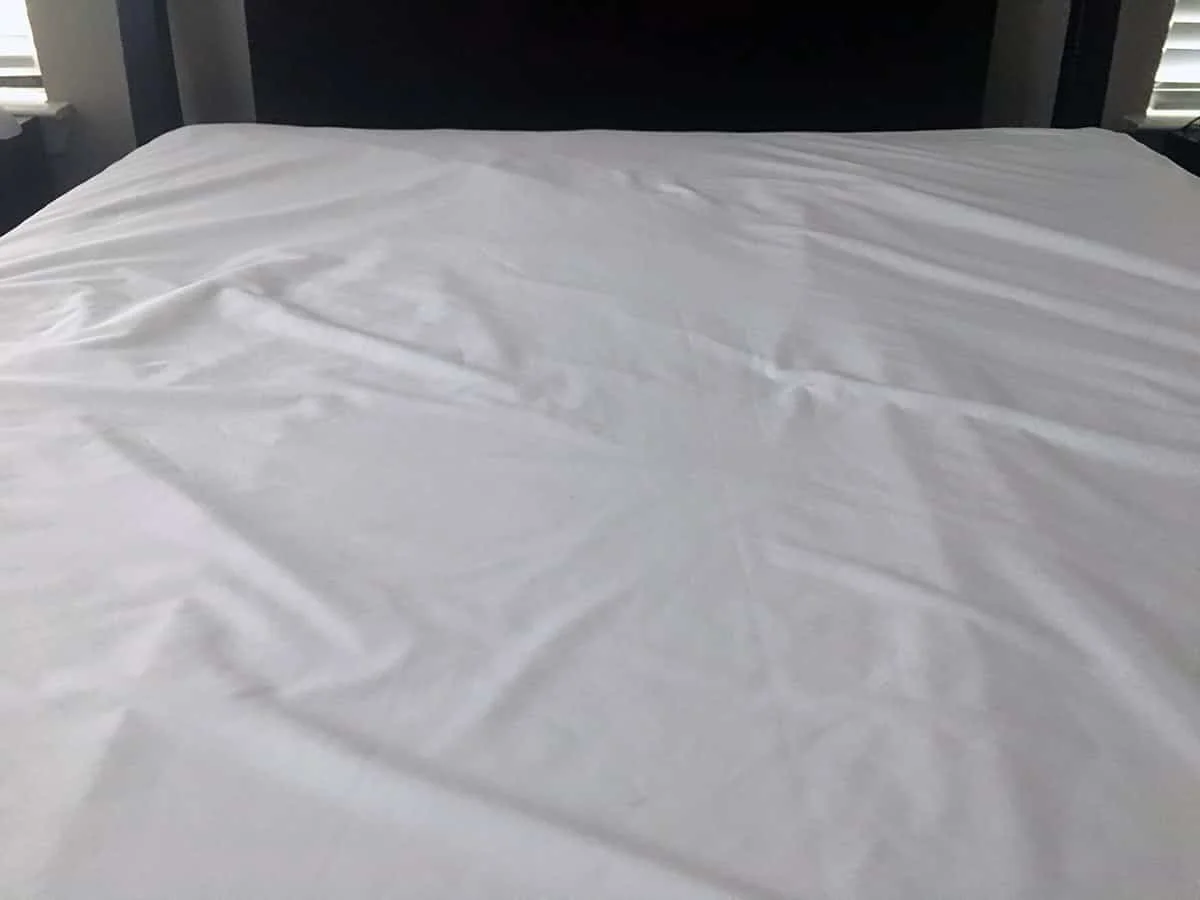 Sleep Defense System Mattress Protector Review