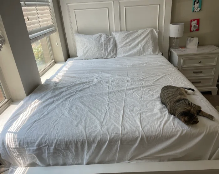 Casper SuperSoft Sheet Set on a bed with a cat