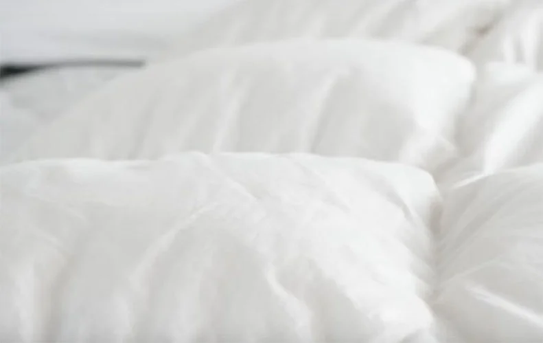Egyptian Bedding Siberian Goose Down Comforter