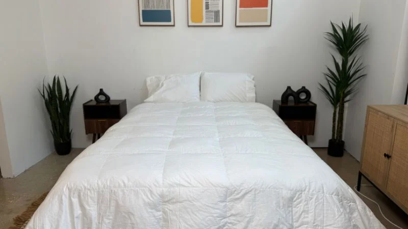 Quince Down Alternative Duvet Insert