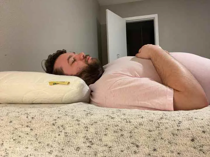 Lagoon Meerkat Pillow