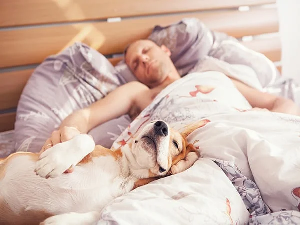 man asleep with dog in bed