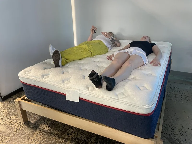 Wolf 14-Inch Memory Foam Hybrid Plush Pillow Top