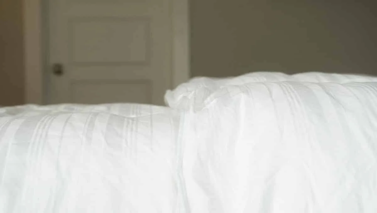 Pinzon Down-Alternative Comforter Review Pinzon Down Alternative Comforter