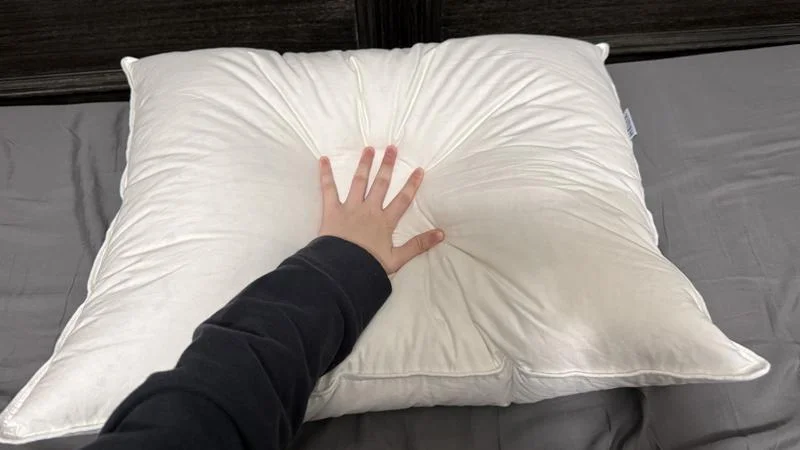 Feeling the Helix Down Pillow