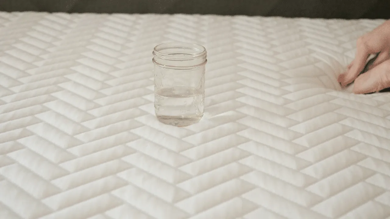 Wright Mattress Motion Transfer Wright Mattress Motion Transfer