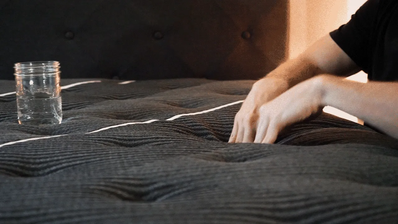 Beautyrest Black Motion Transfer Beautyrest Black Motion Transfer