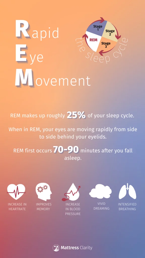REM Sleep