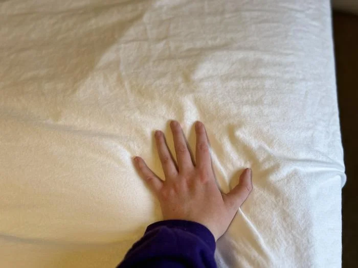 Feeling the Boll & Branch Flannel Sheet Set