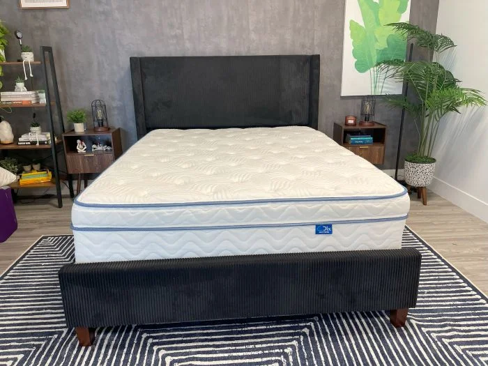 DLX Premier Hybrid on a frame